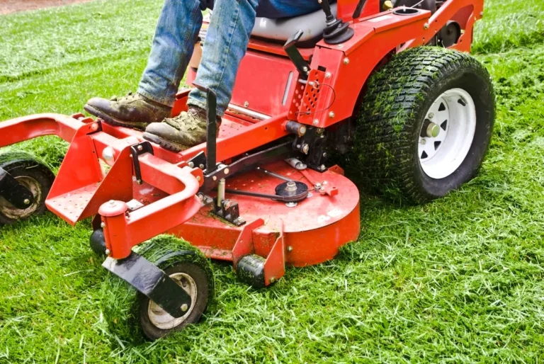 Dallas Landscaping Demand Peaks 347% in March: Revenue Guide