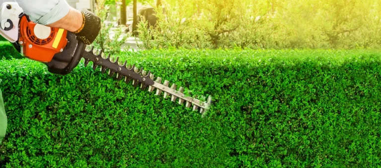 Why 73% of Houston Landscaping Reviews Are Fake (And How to Win)